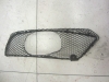 Mercedes Benz - Bumper Grill mesh  GRILLE - A2098850153